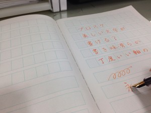NAGASAWAオリジナルスケルトン万年筆　PROSUKE（プロスケ）レビュー