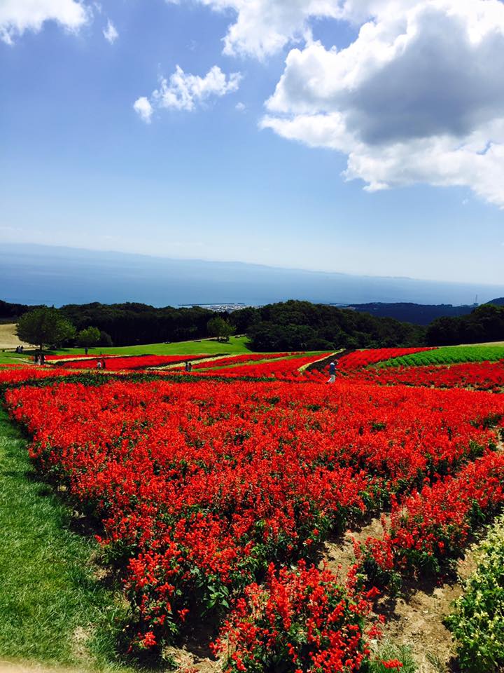 北あわじ 展望の旅