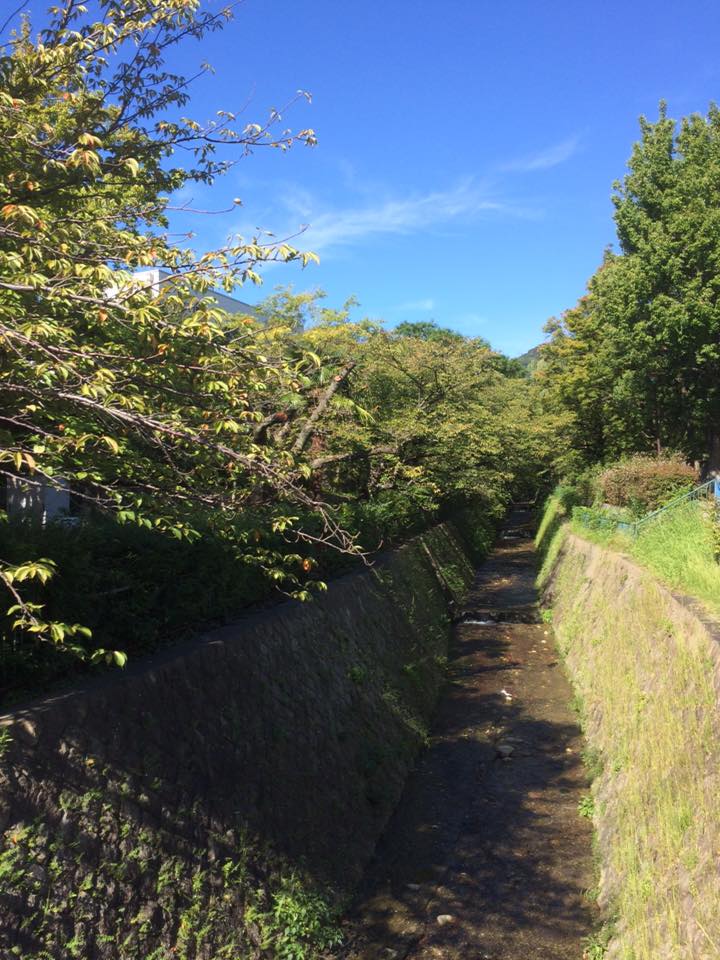 灘色彩学