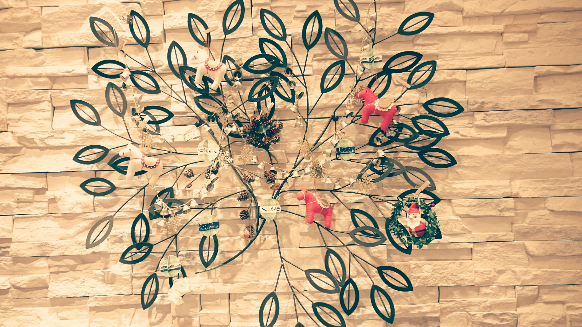 _20151114_114009.リーフ
