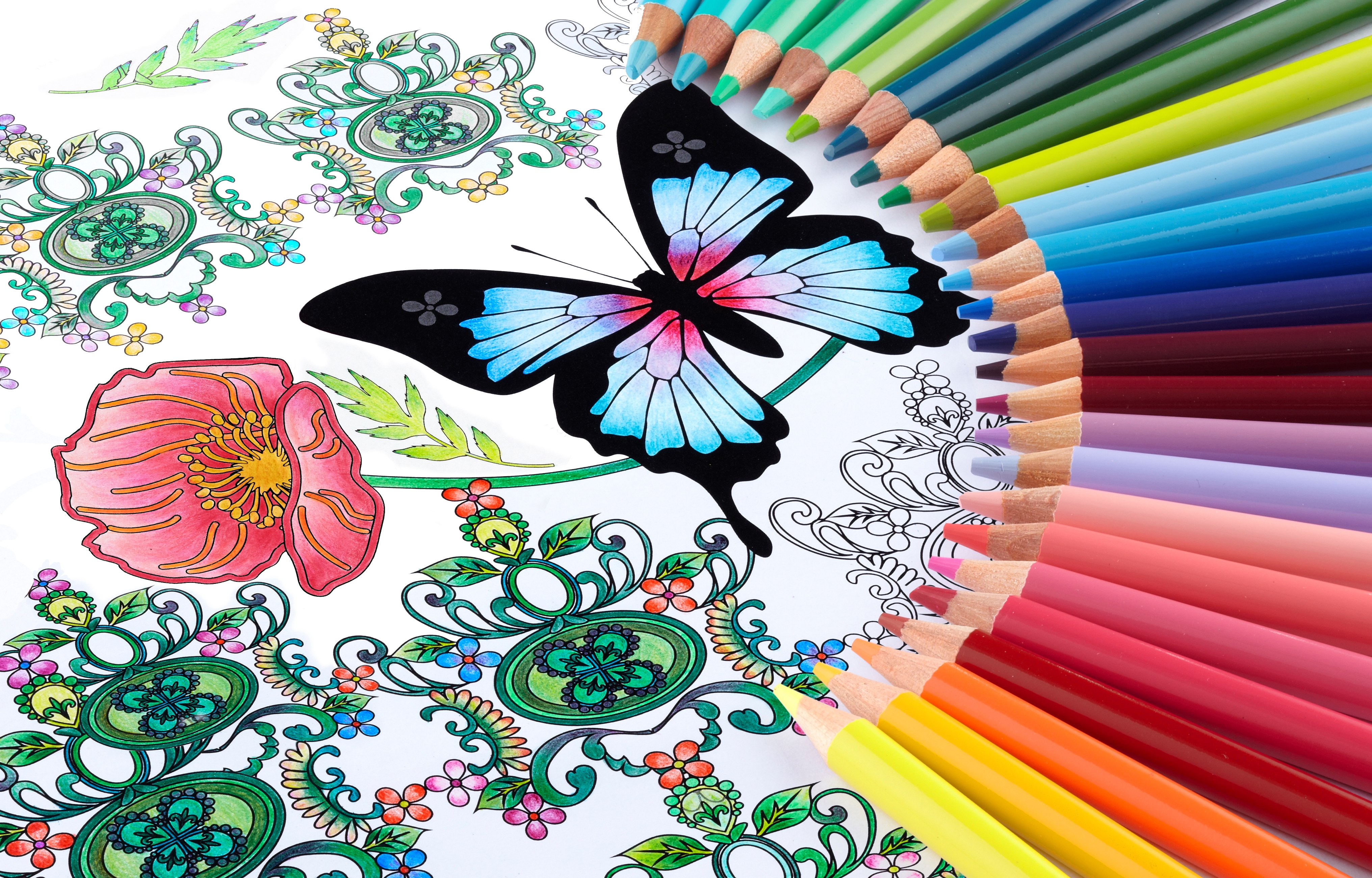 cololiage_uni_888_color