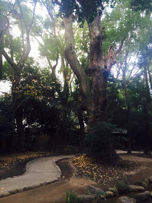 生田神社と生田の森へ