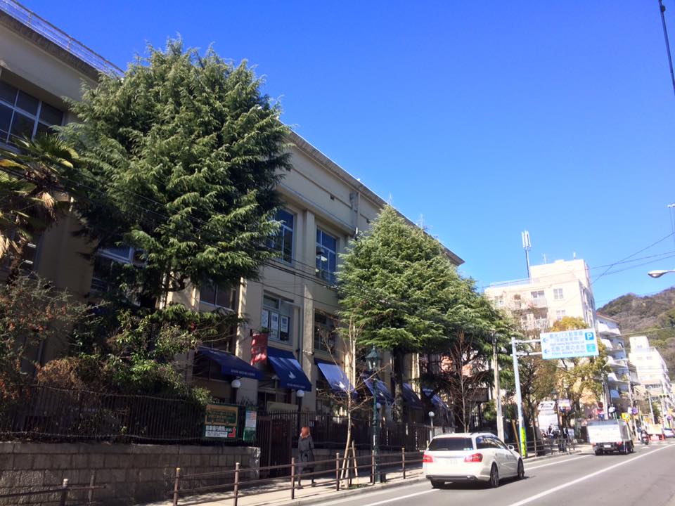 KITANO MEISTER GARDEN
