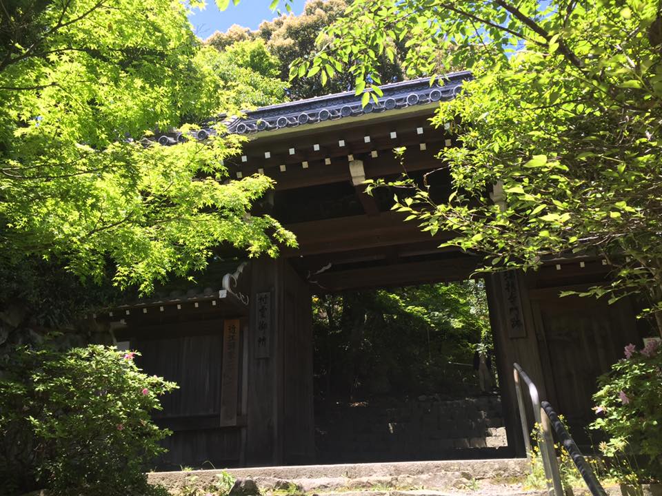 新緑の時