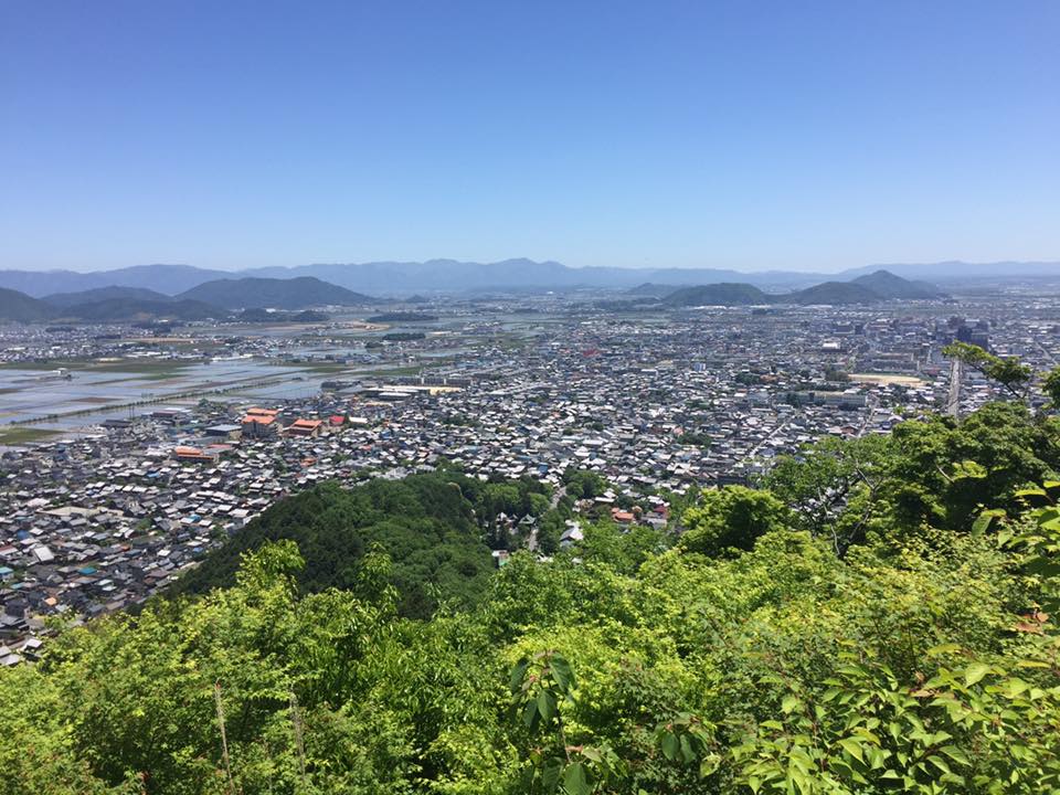 新緑の時