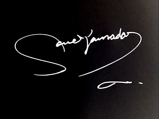 Sae Yamada 26ハート