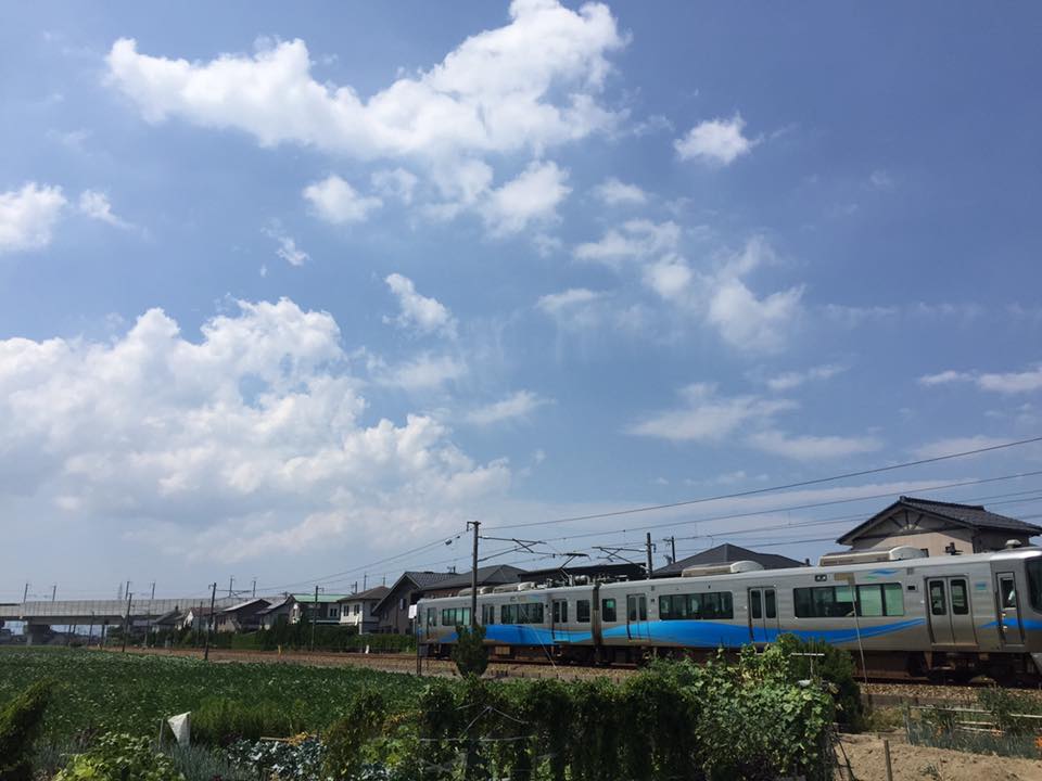 0815-3