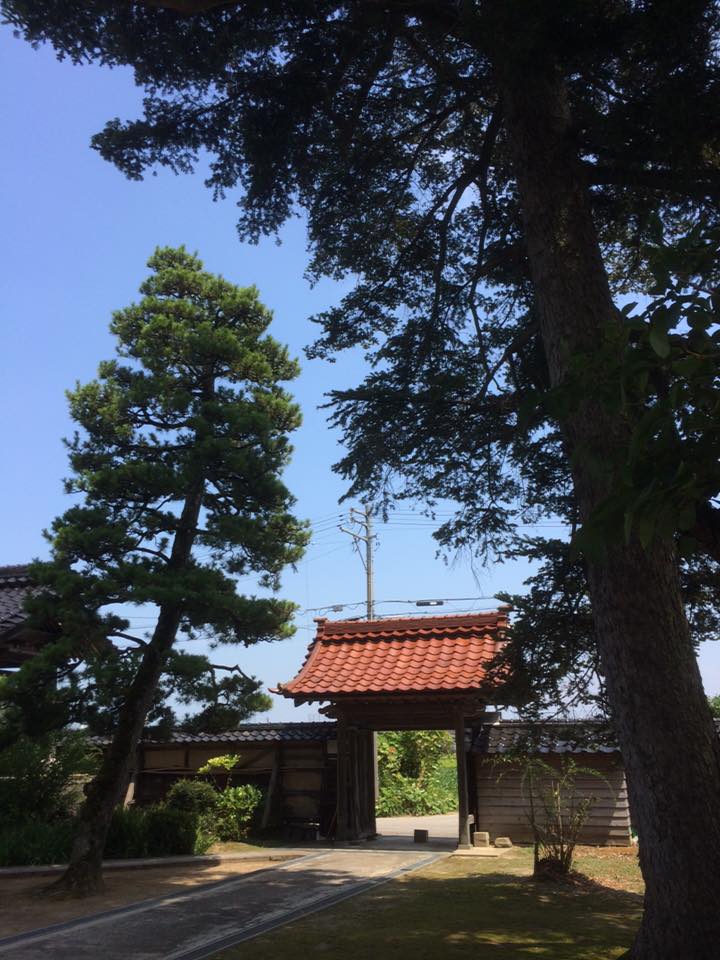 日本の夏風景