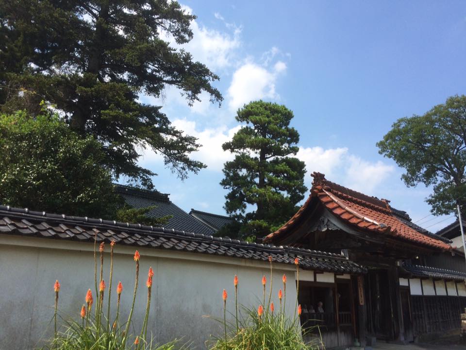 日本の夏風景