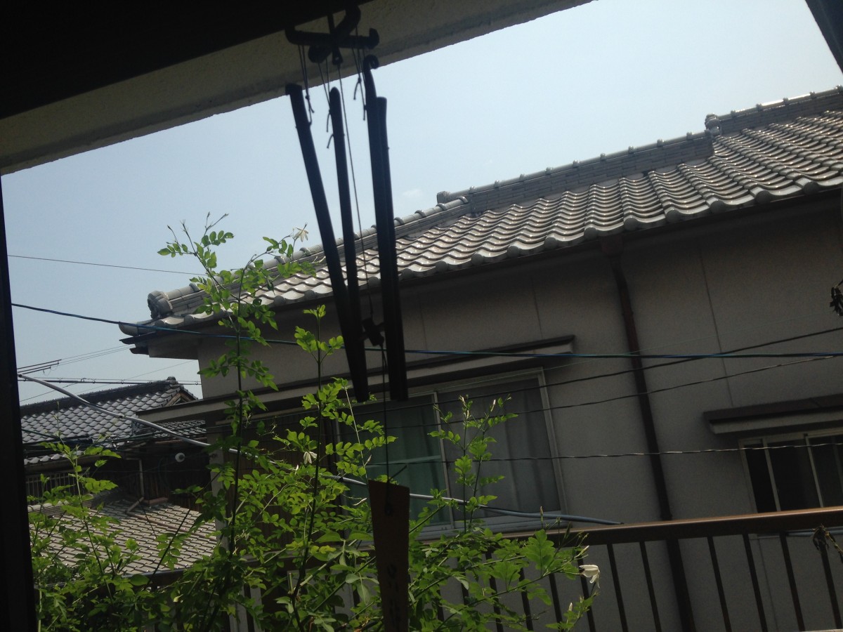 image1 (2)