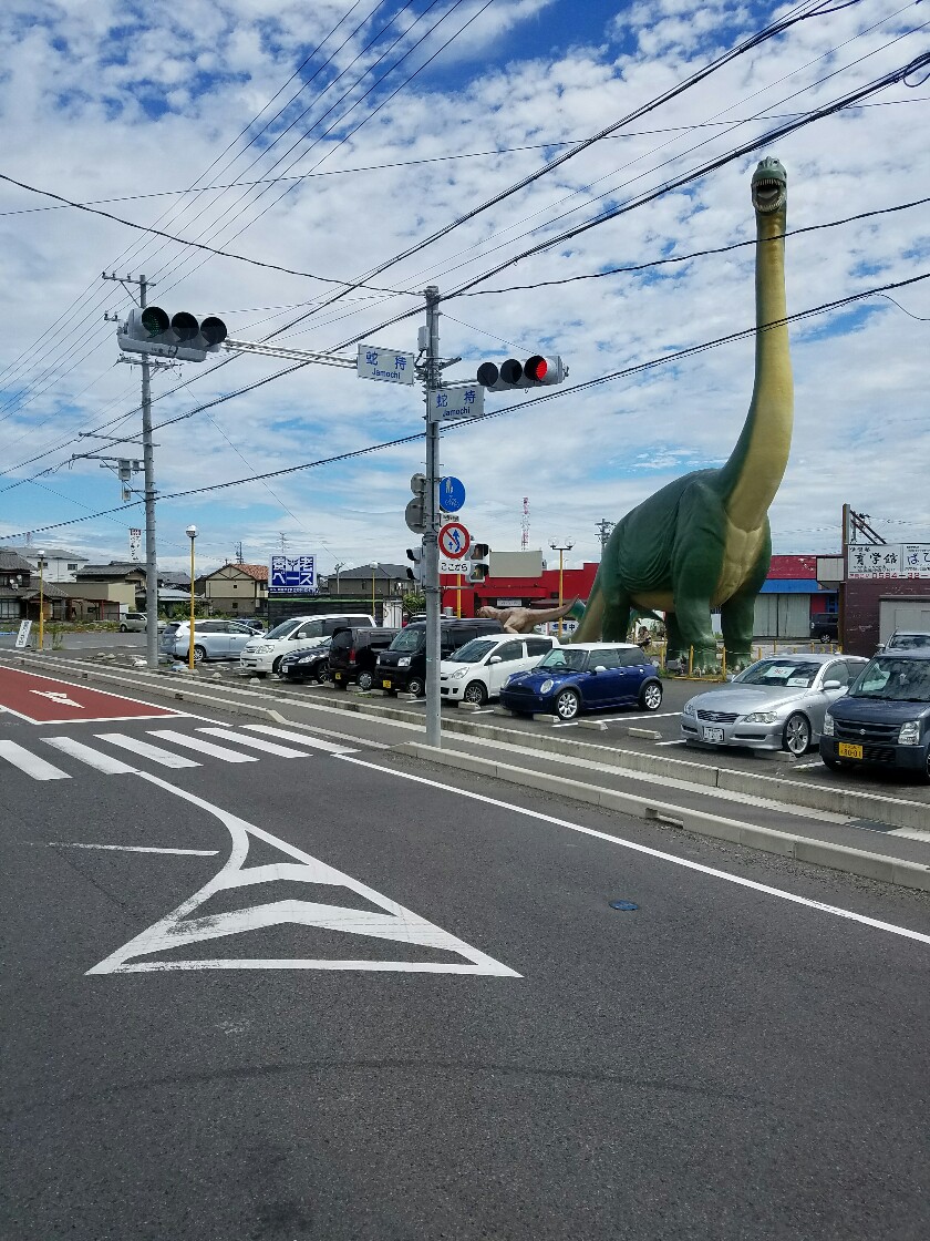 写真⑤