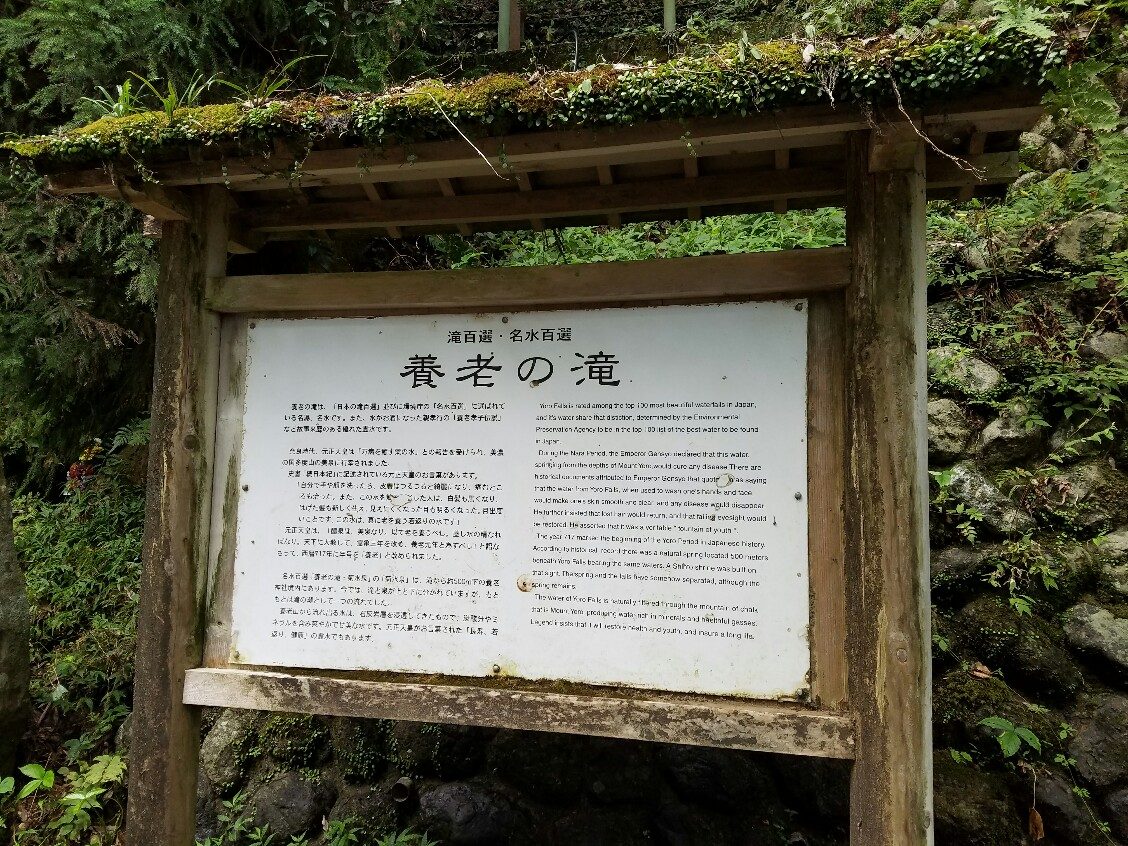 写真①