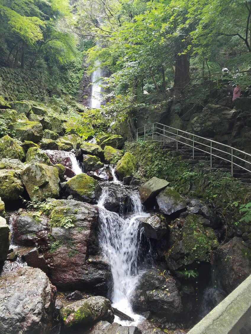 写真②
