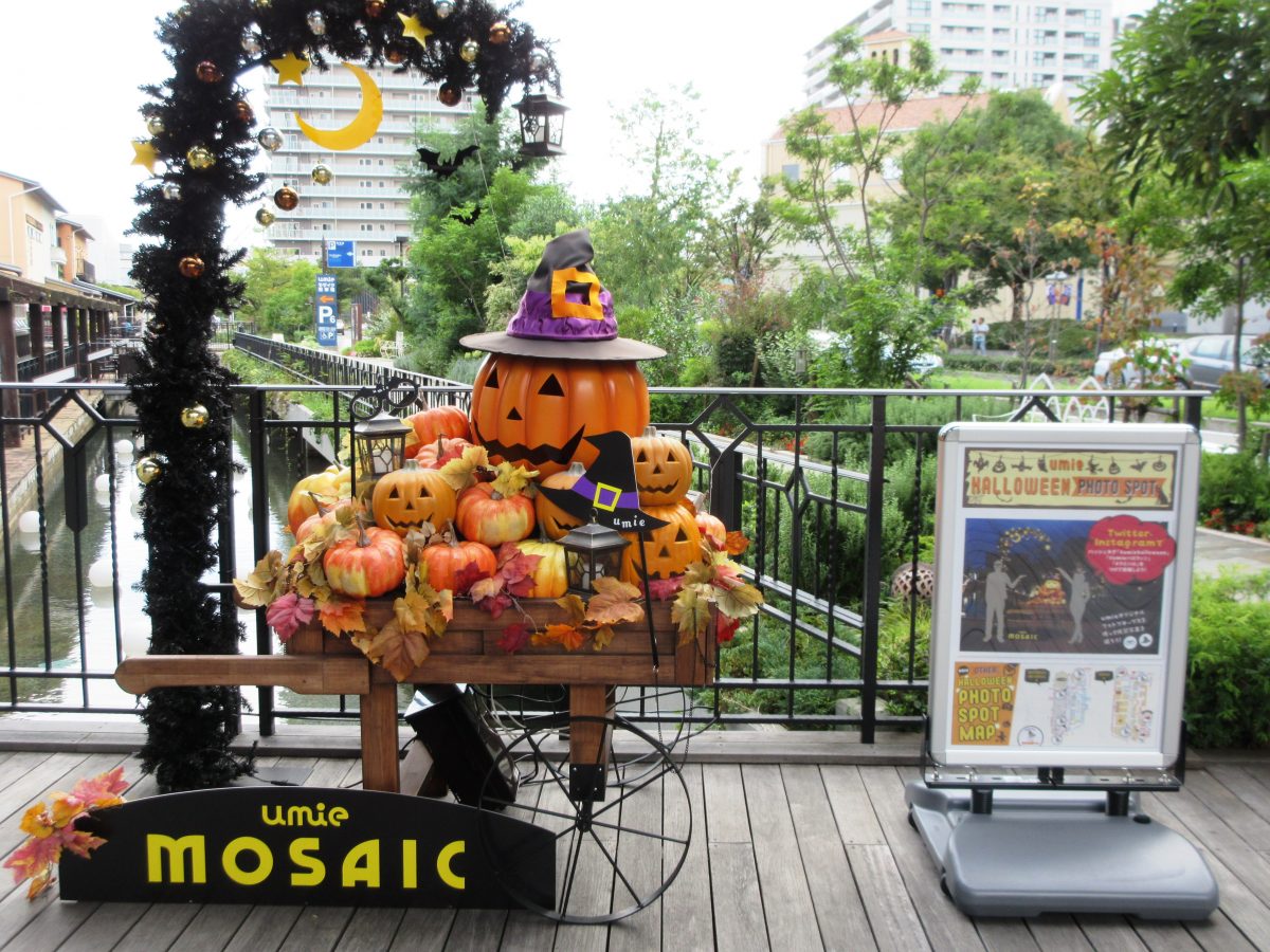 写真⑤