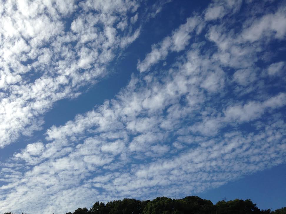 うろこ雲