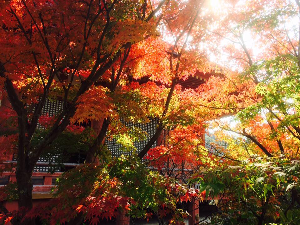 神戸市西区 国宝 太山寺