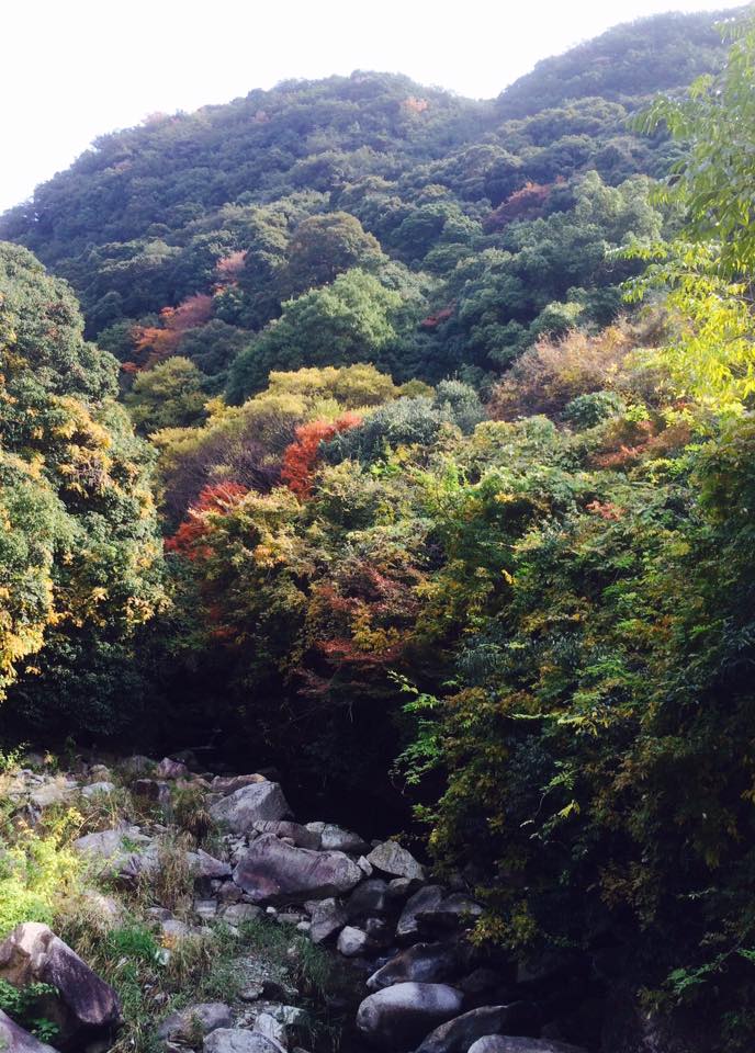 神戸市西区 国宝 太山寺