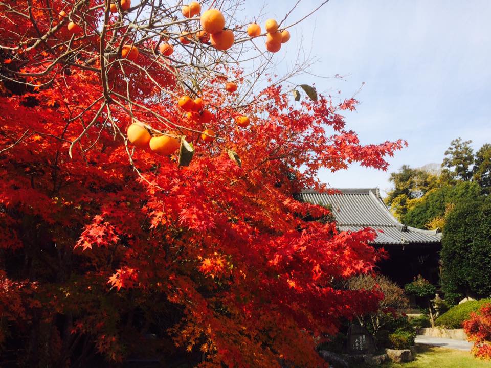 神戸市西区 国宝 太山寺