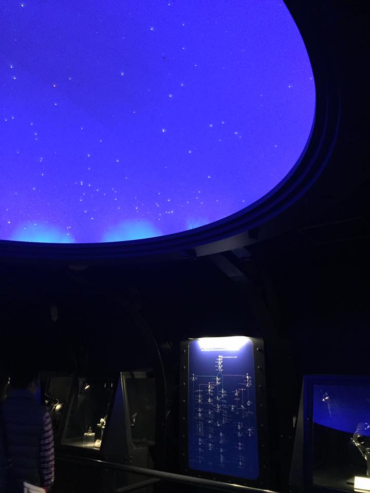 COSMO BLUE 135