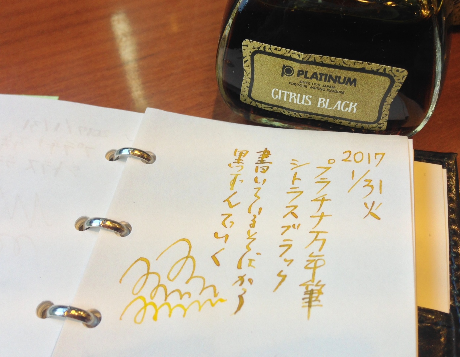 小日向京のひねもす文房具｜第七十七回「プラチナ万年筆 古典インク シトラスブラック」