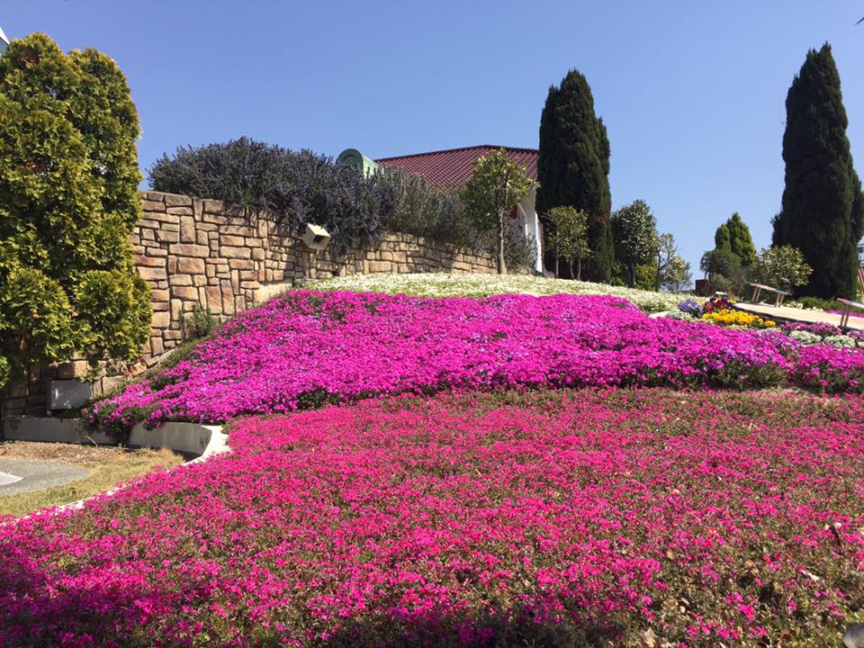 淡路島 花の旅
