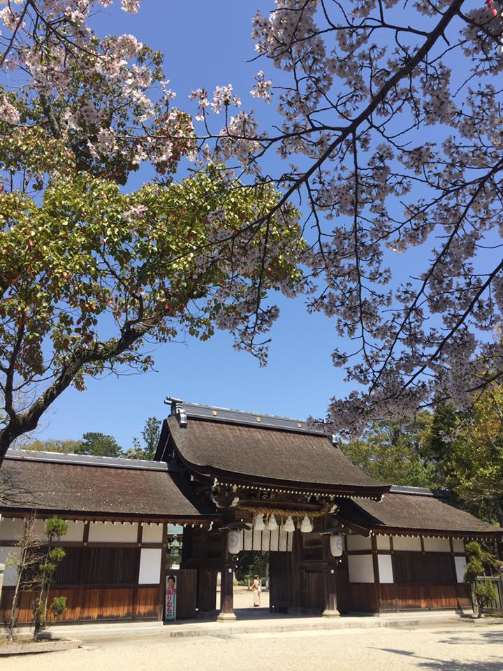 淡路島 花の旅