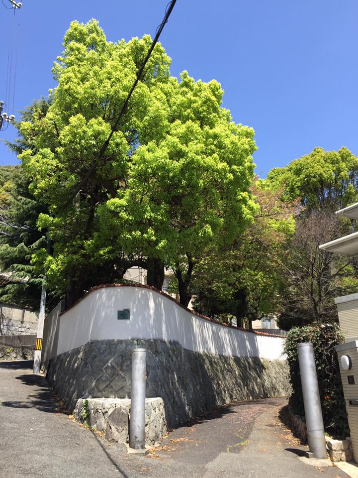 神戸北野町界隈