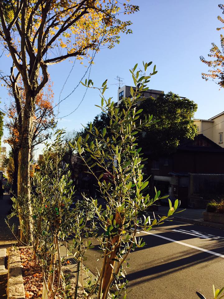 NAGASAWA 135周年記念 万年筆