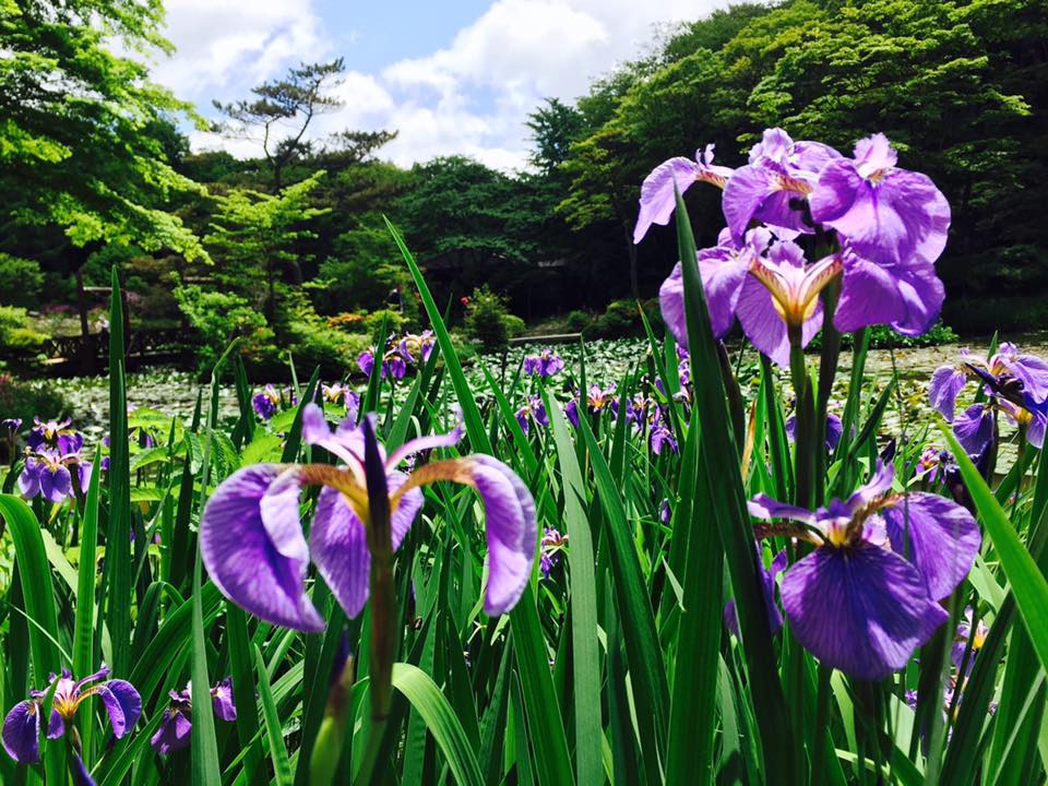 六甲高山植物園