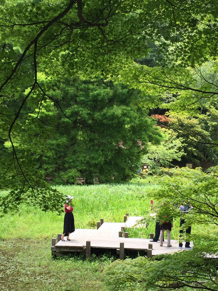 六甲にて森林浴