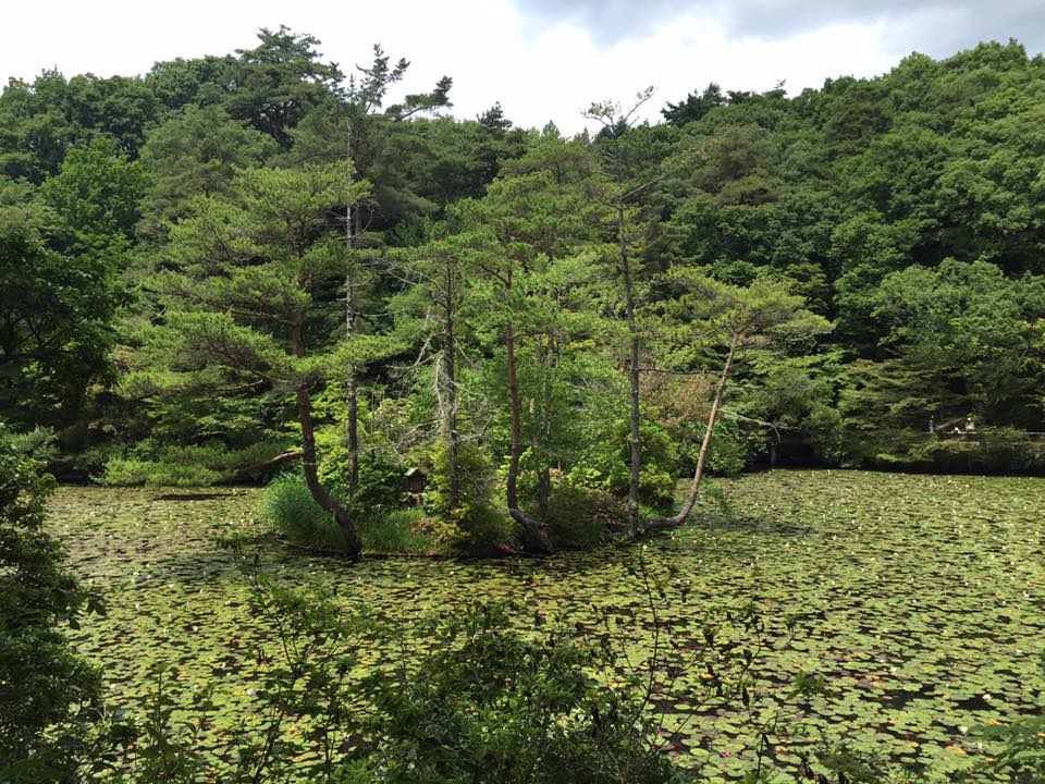 六甲にて森林浴