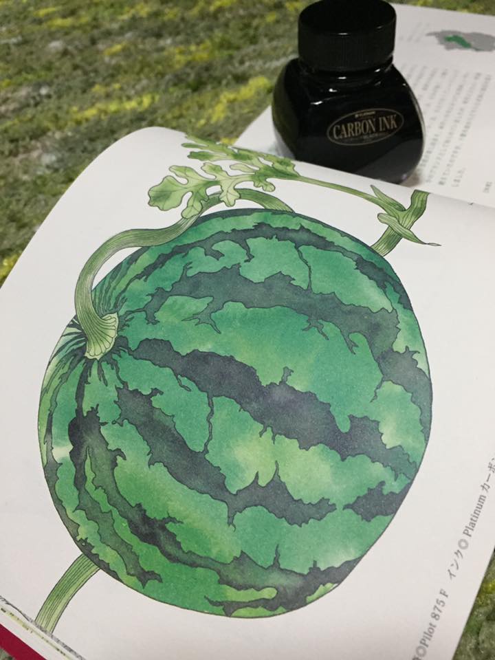 滋賀の美味しい食材画帖
