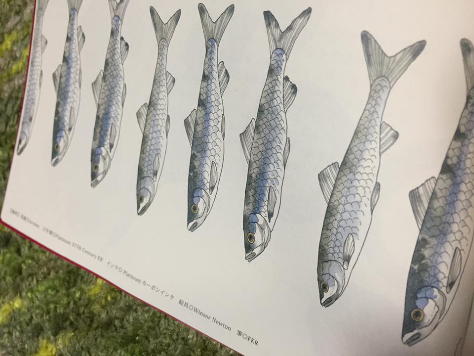 滋賀の美味しい食材画帖