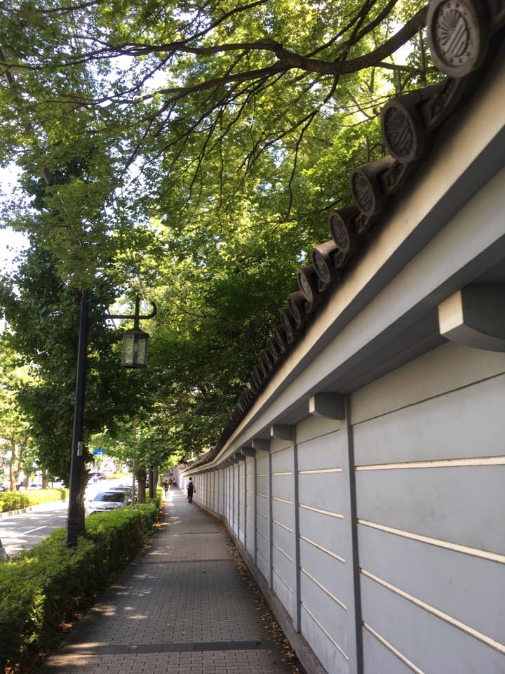 湊川神社にてライムグリーン