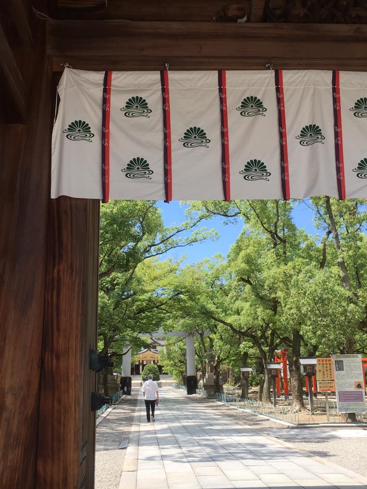 湊川神社にてライムグリーン