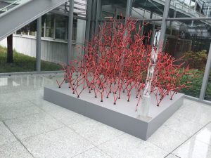 img_5331