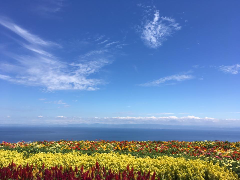 淡路 夏便り・海