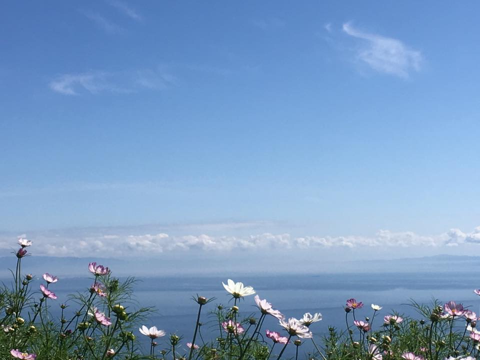 淡路 花さじき