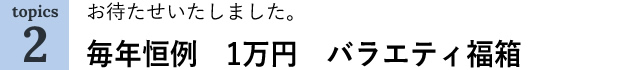 お待たせいたしました。毎年恒例　1万円　バラエティ福箱