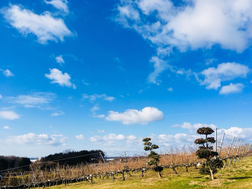 神戸農業公園
