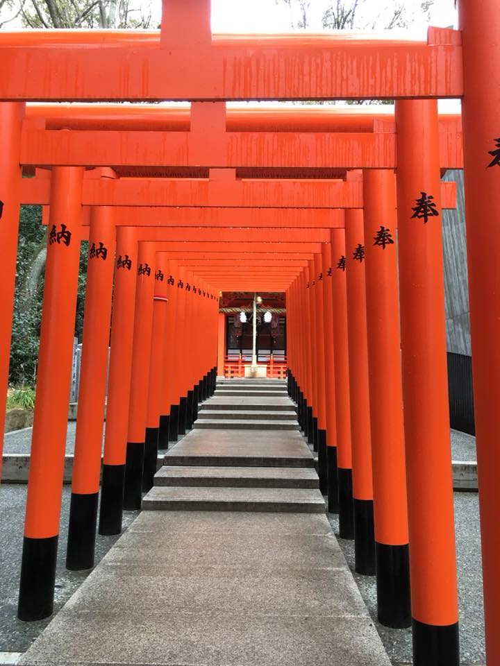 1月8日 朝の生田神社にて