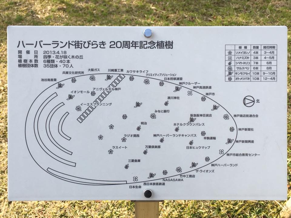 オトメツバキと神戸煉瓦倉庫