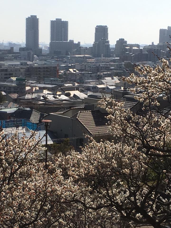 岡本公園とKobe INK物語