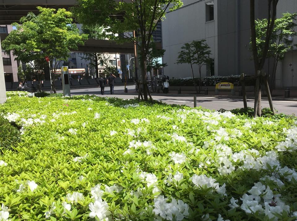 初夏の陽気、CHASKA茶屋町