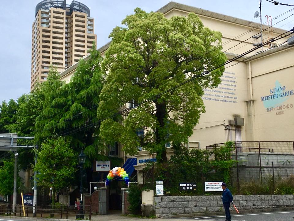 生田の森から北野工房へ