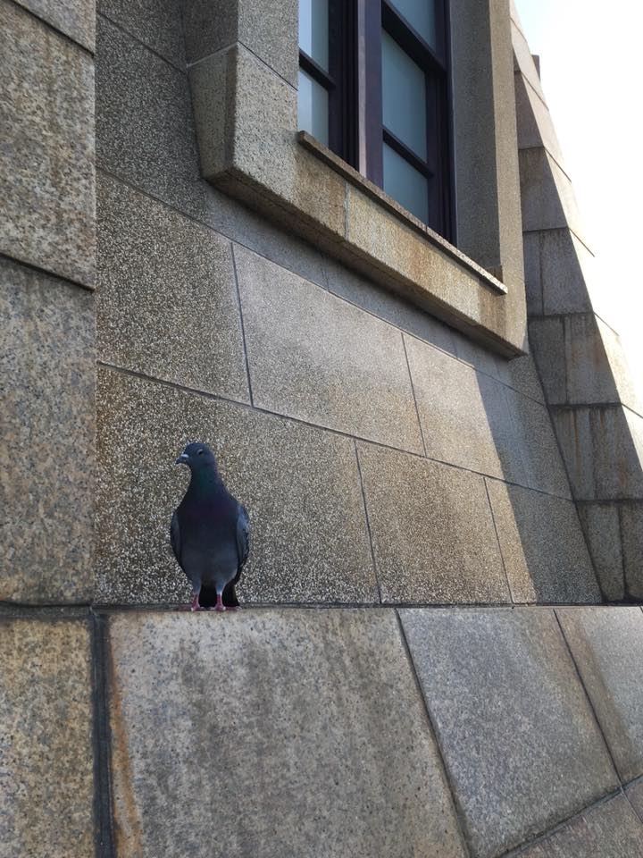 2018年の神戸風景