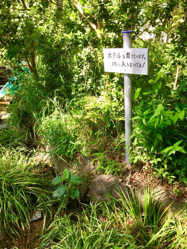ビオトープ 神戸菊水公園へ