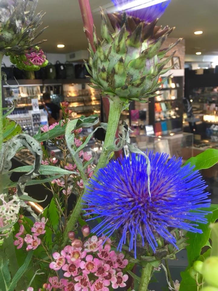草花のウインドーディスプレイ