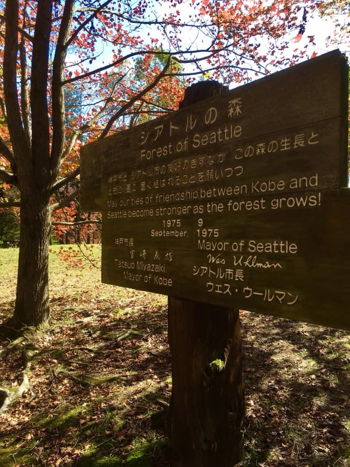 神戸市立森林植物園にて森林浴