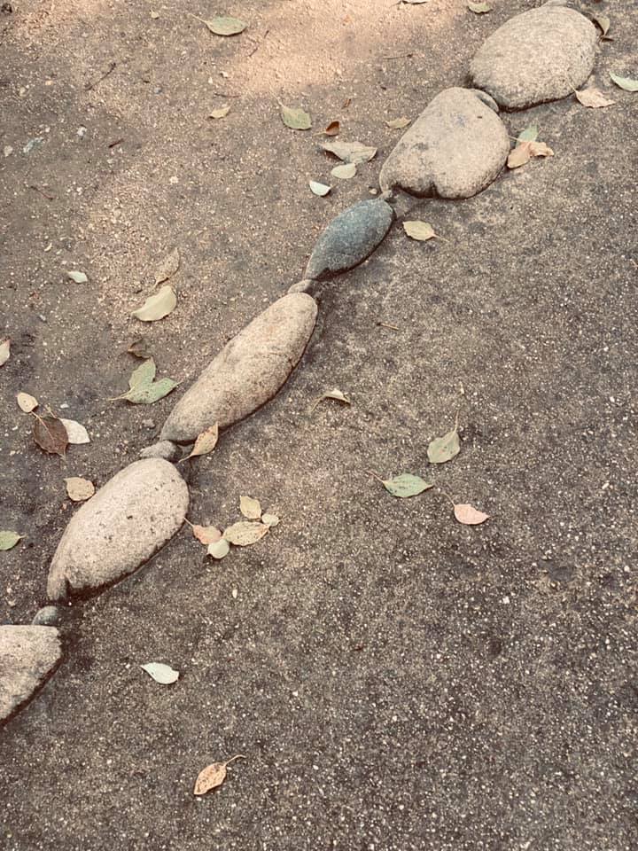 生田の森にて